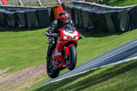 Oulton-Park-20th-March-2020;PJ-Motorsport-Photography-2020;anglesey;brands-hatch;cadwell-park;croft;donington-park;enduro-digital-images;event-digital-images;eventdigitalimages;mallory;no-limits;oulton-park;peter-wileman-photography;racing-digital-images;silverstone;snetterton;trackday-digital-images;trackday-photos;vmcc-banbury-run;welsh-2-day-enduro